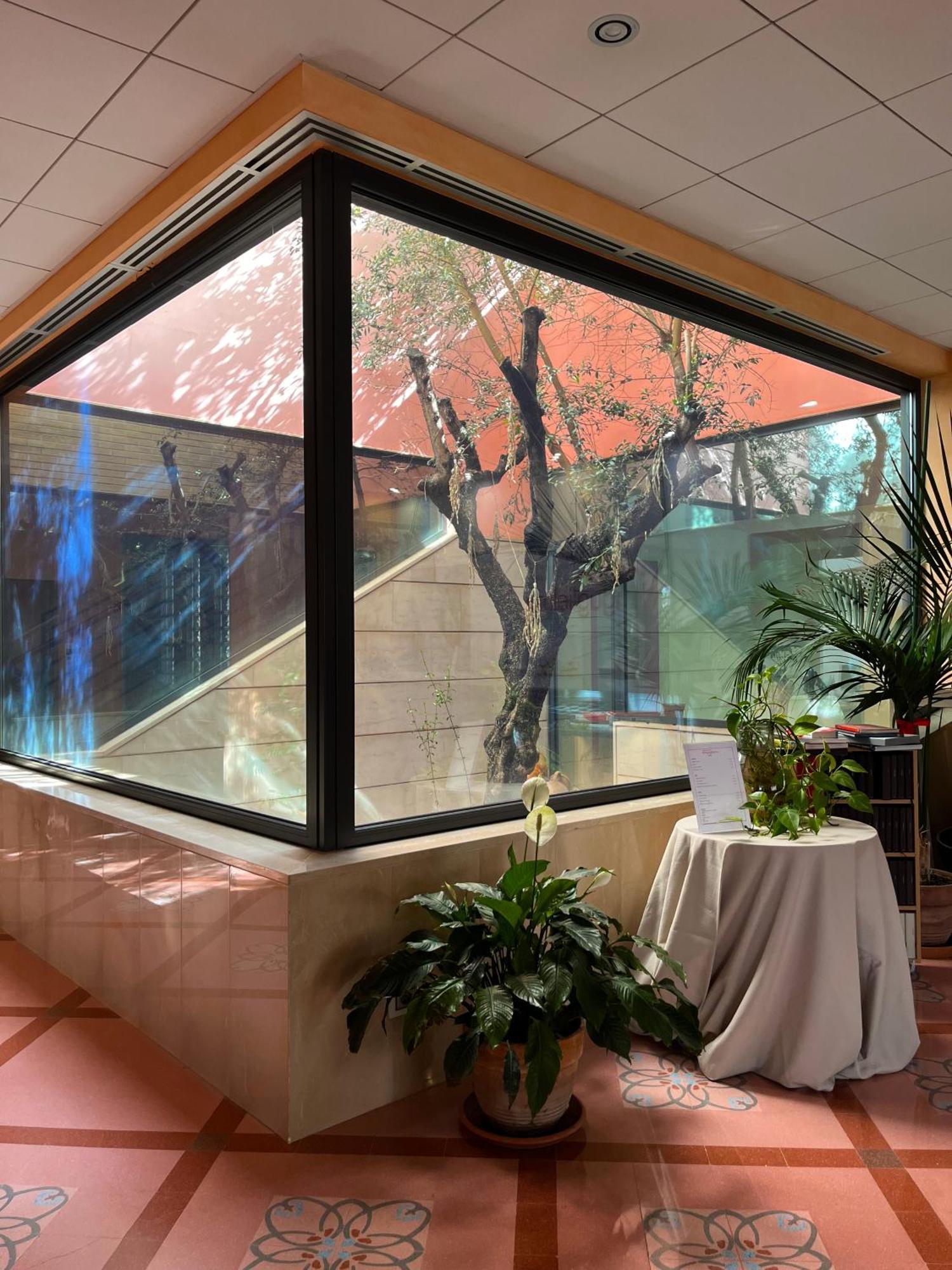 קמפובאסו Don Guglielmo Panoramic Hotel & Spa מראה חיצוני תמונה