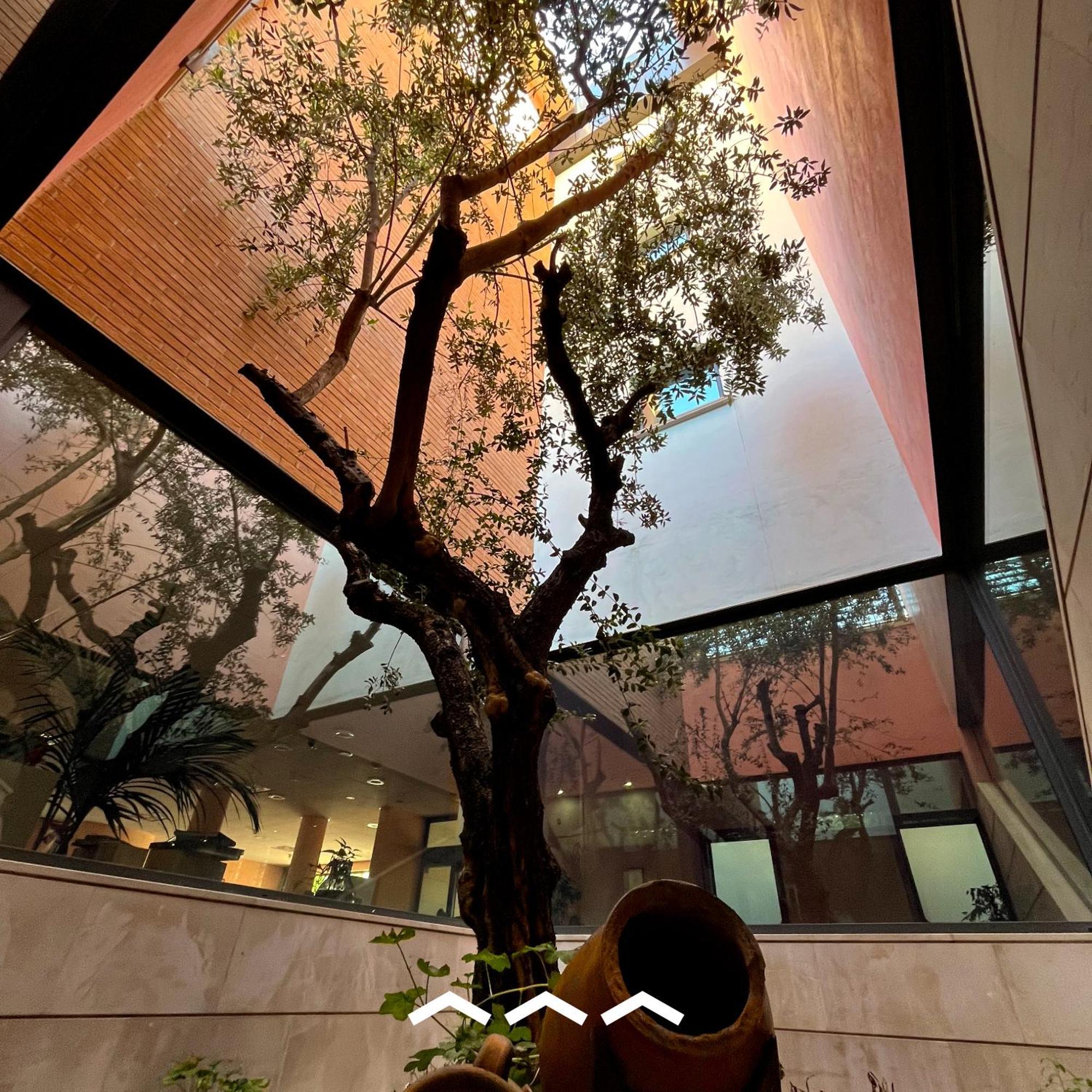 קמפובאסו Don Guglielmo Panoramic Hotel & Spa מראה חיצוני תמונה
